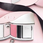 Dior Cherie Bow for Spring 2013